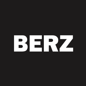 Stock BERZ logo