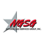 NGS Stock Logo